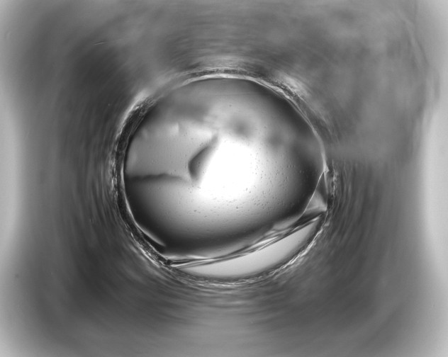 X0000087051164200705021151