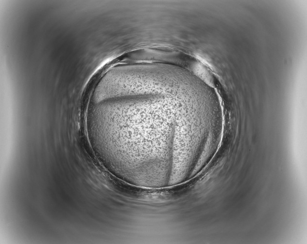 X0000087051165200705021151