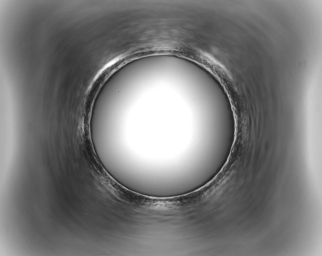 X0000087051166200705021151