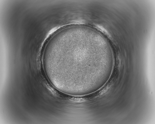 X0000087051168200705021150