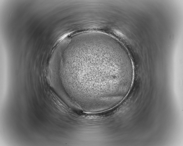 X0000087051169200705021150