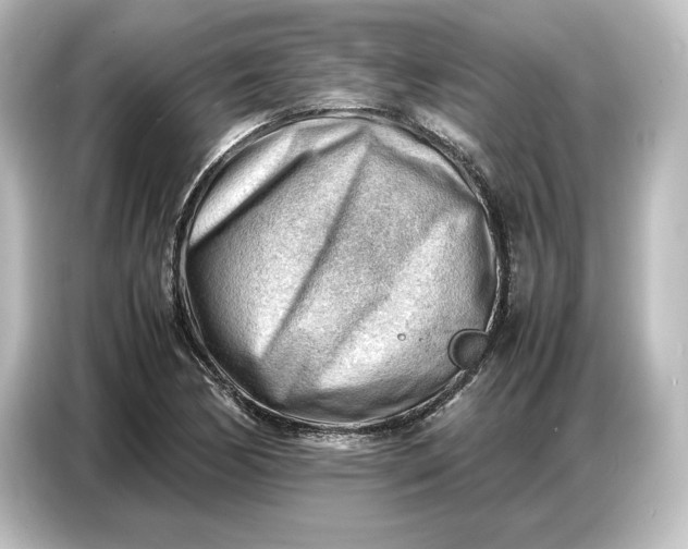 X0000087051170200705021150