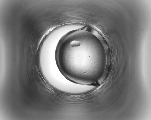 X0000087051171200705021150