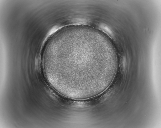 X0000087051172200705021150