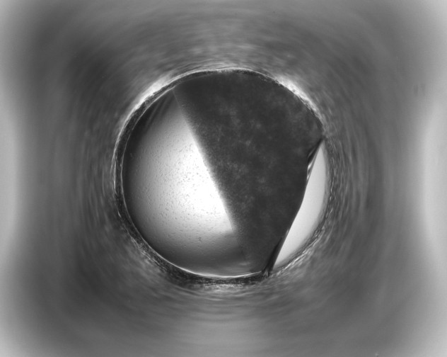 X0000087051173200705021150