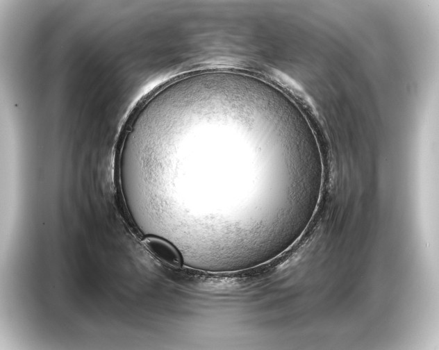 X0000087051174200705021150