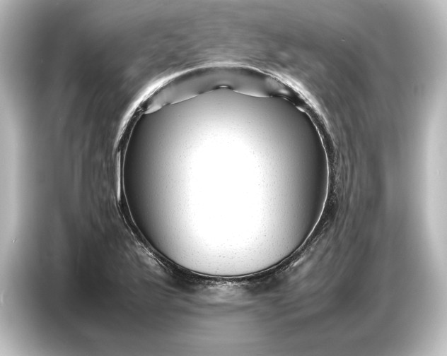 X0000087051175200705021150