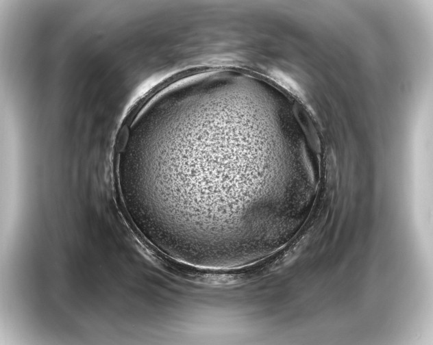 X0000087051176200705021150