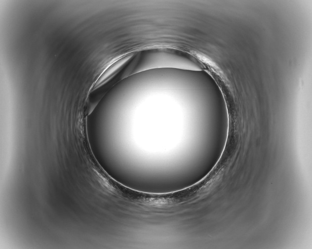 X0000087051177200705021150