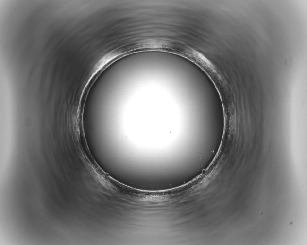 X0000087051178200705021150