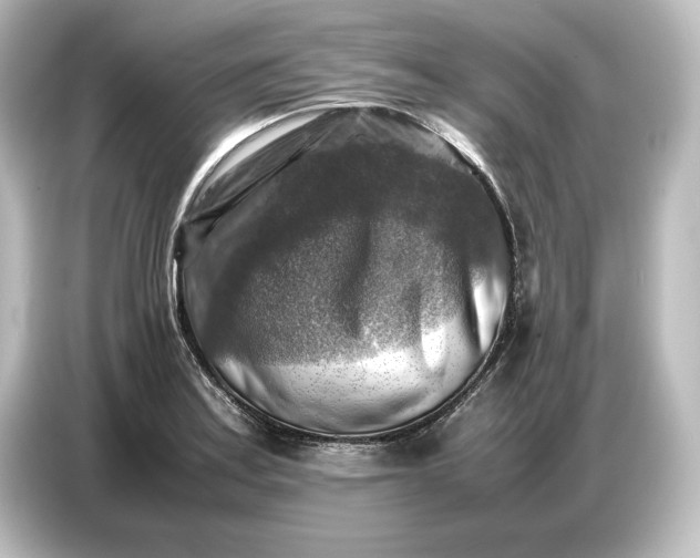 X0000087051179200705021150