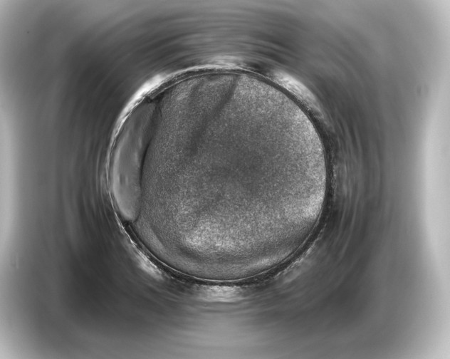 X0000087051180200705021150