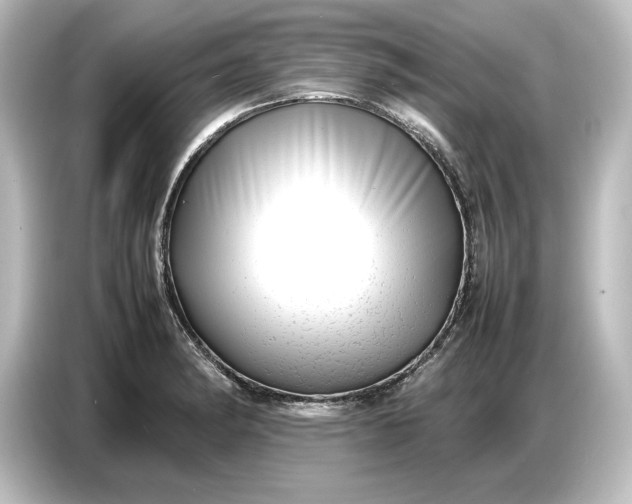 X0000087051182200705021150