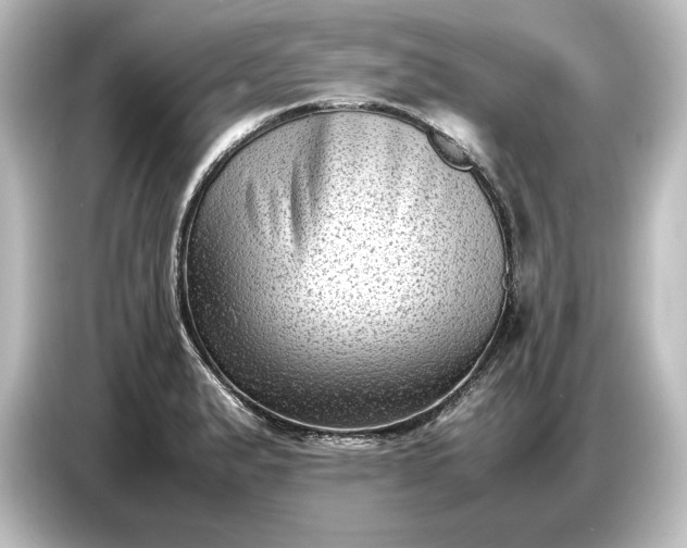 X0000087051183200705021150