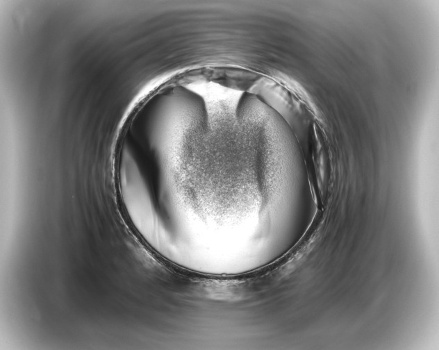 X0000087051184200705021150