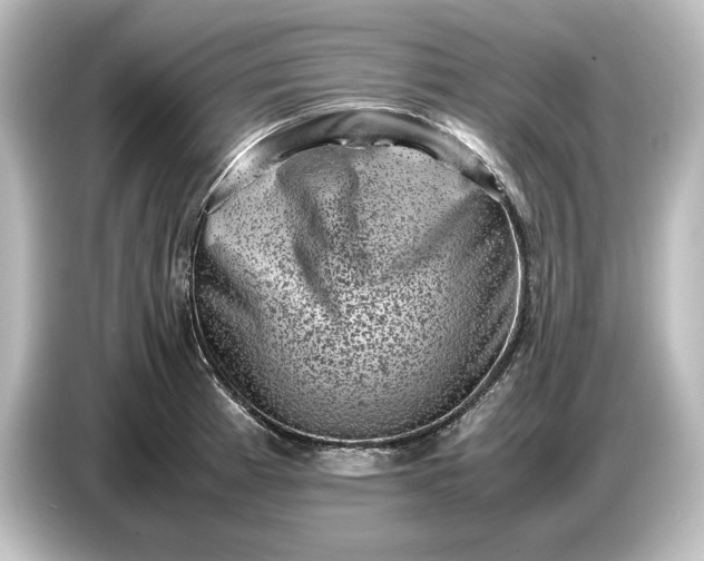 X0000087051185200705021150