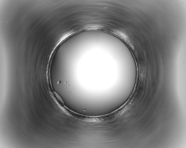 X0000087051186200705021150