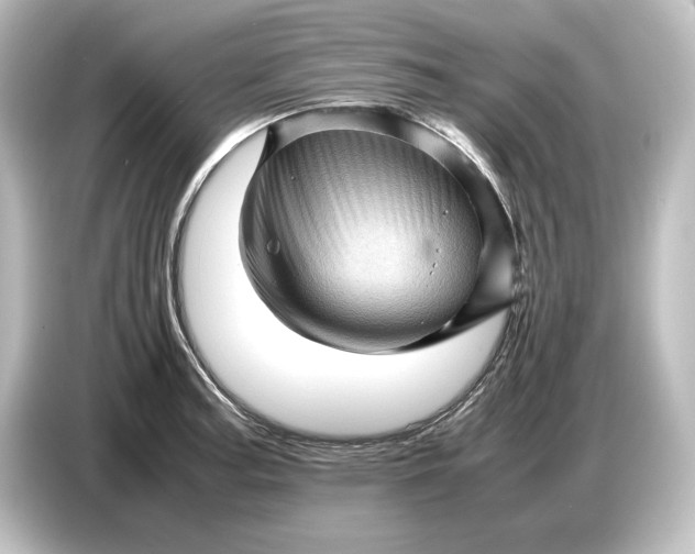 X0000087051187200705021150