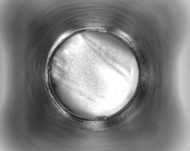 X0000087051188200705021150