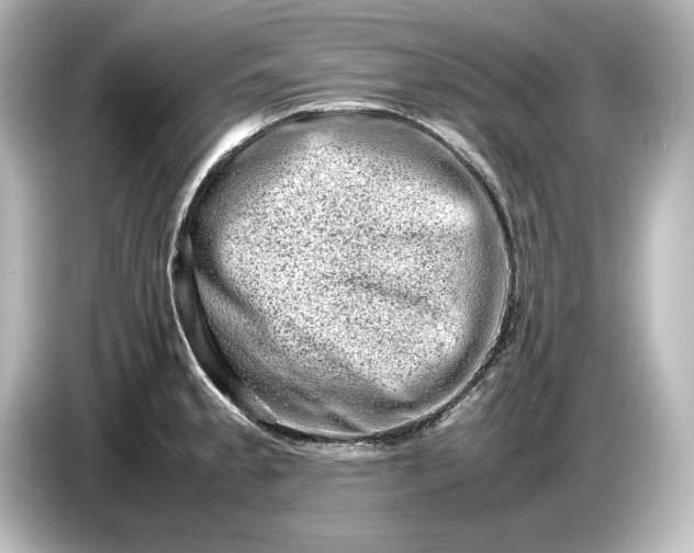 X0000087051189200705021150