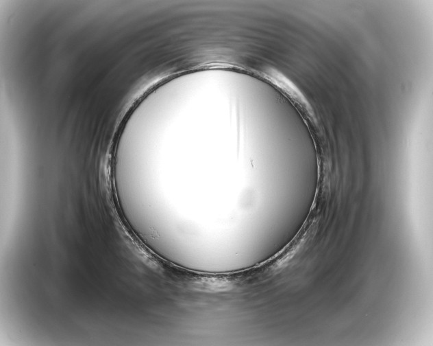 X0000087051190200705021150