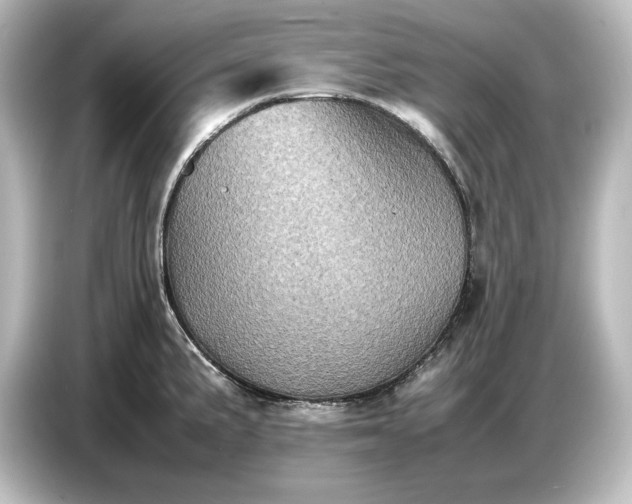 X0000087051191200705021150