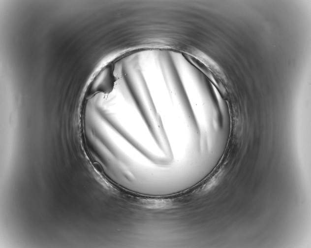 X0000087051192200705021150