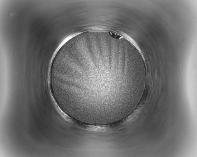 X0000087051195200705021150