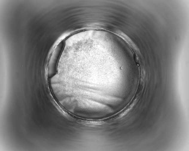 X0000087051196200705021150