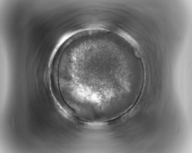 X0000087051200200705021150