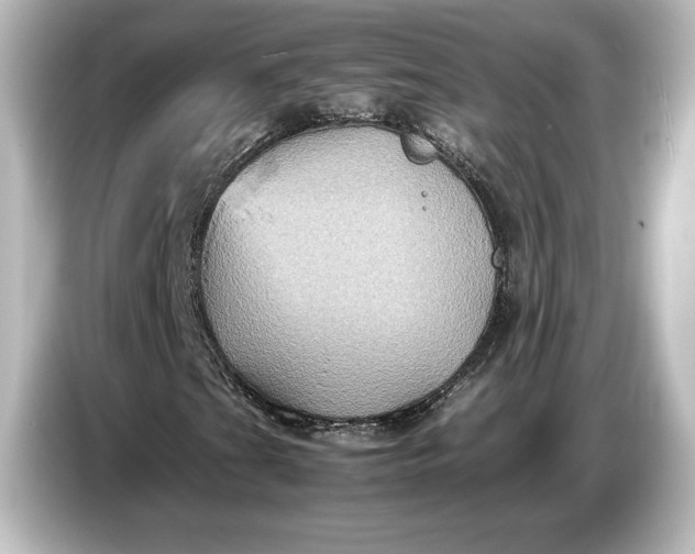 X0000087051201200705021149