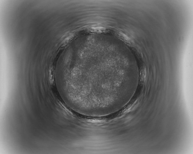 X0000087051202200705021149