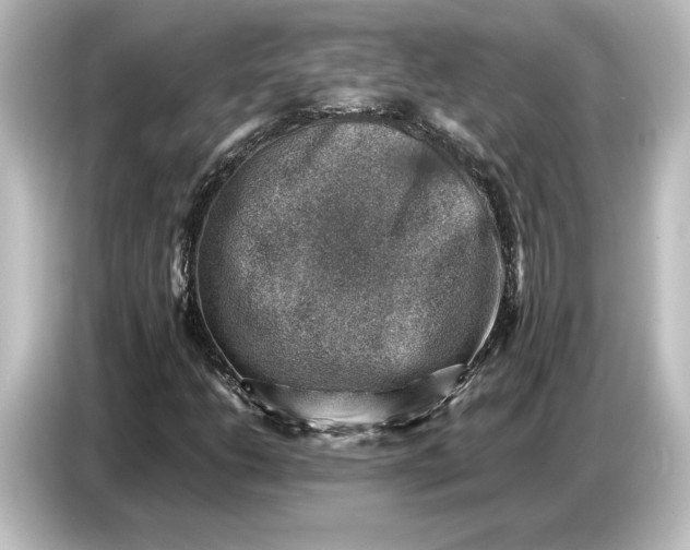 X0000087051206200705021150