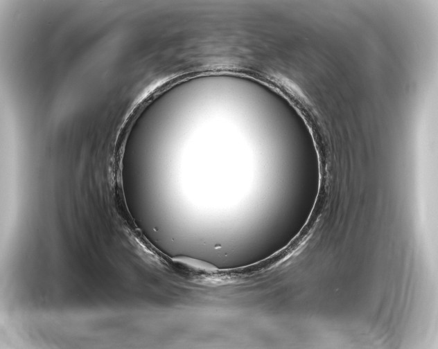 X0000087051212200705021150