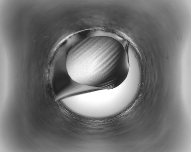 X0000087051215200705021150