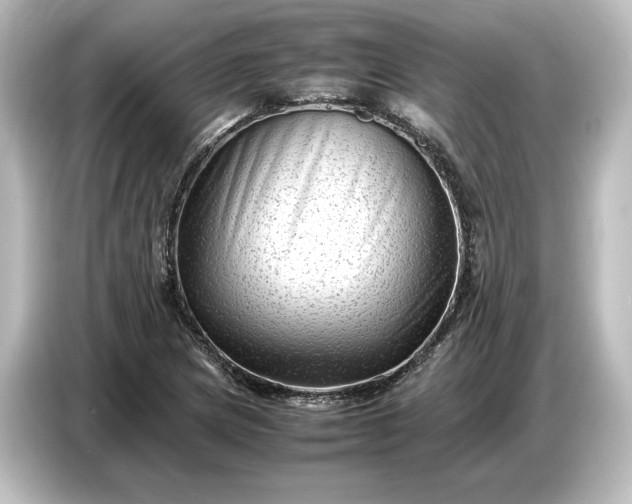 X0000087051217200705021150