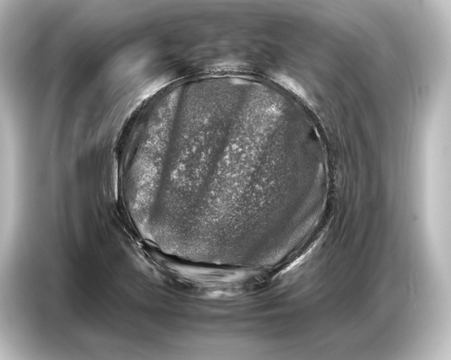 X0000087051219200705021150