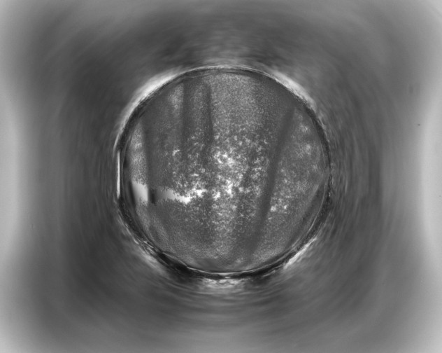 X0000087051223200705021150