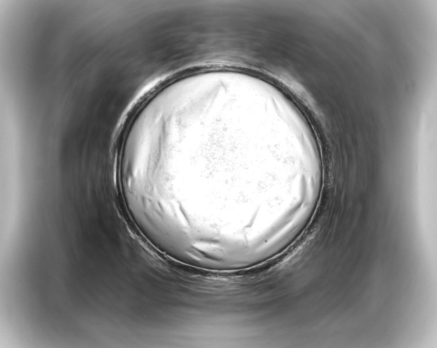 X0000087051224200705021150