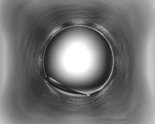 X0000087051225200705021150