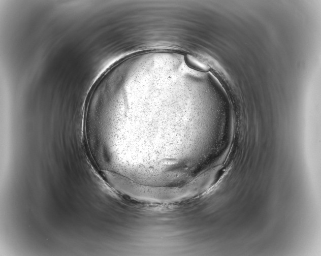 X0000087051228200705021150