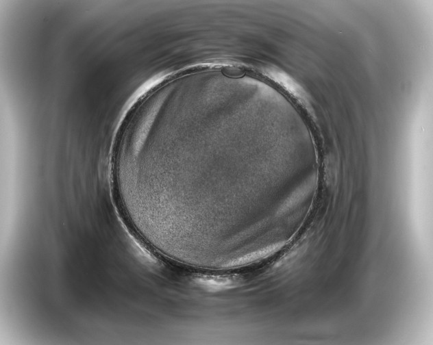 X0000087051229200705021150