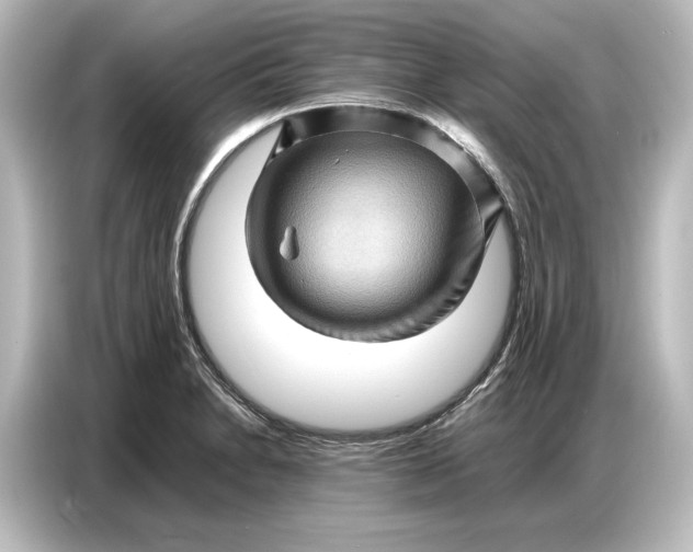 X0000087051230200705021150