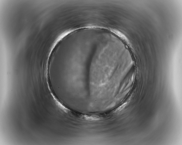 X0000087051231200705021150