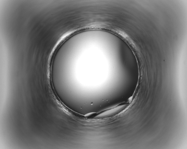 X0000087051232200705021150