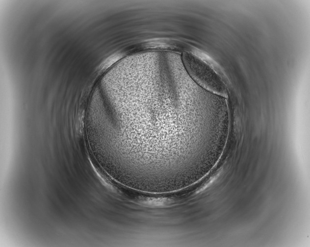 X0000087051233200705021150