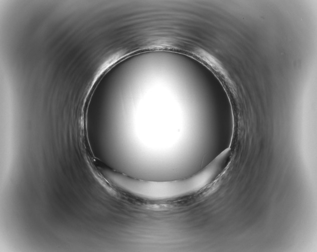 X0000087051234200705021150