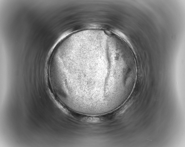 X0000087051235200705021150