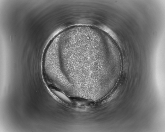 X0000087051237200705021150