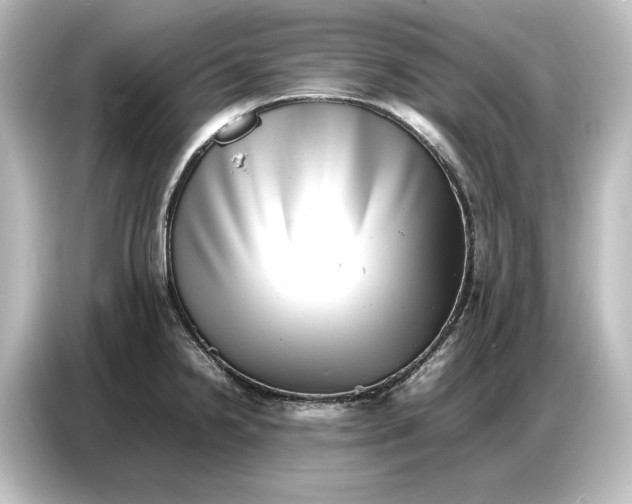 X0000087051238200705021150